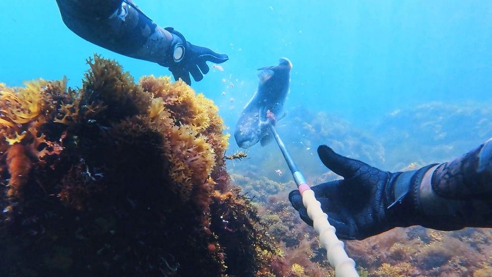 GPTempDownload 35_edited.jpg