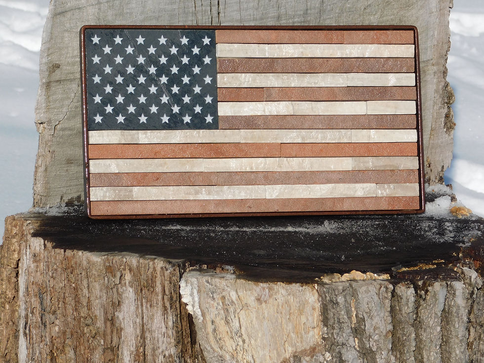 Thumbnail: Patriot