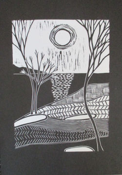 Contours - A bit too much chatter in this image but I was really just playing with pattern. Before e