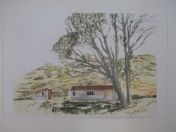 From recent drypoint course -first multi colour print Printed with press