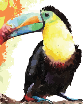 TUCAN.PNG