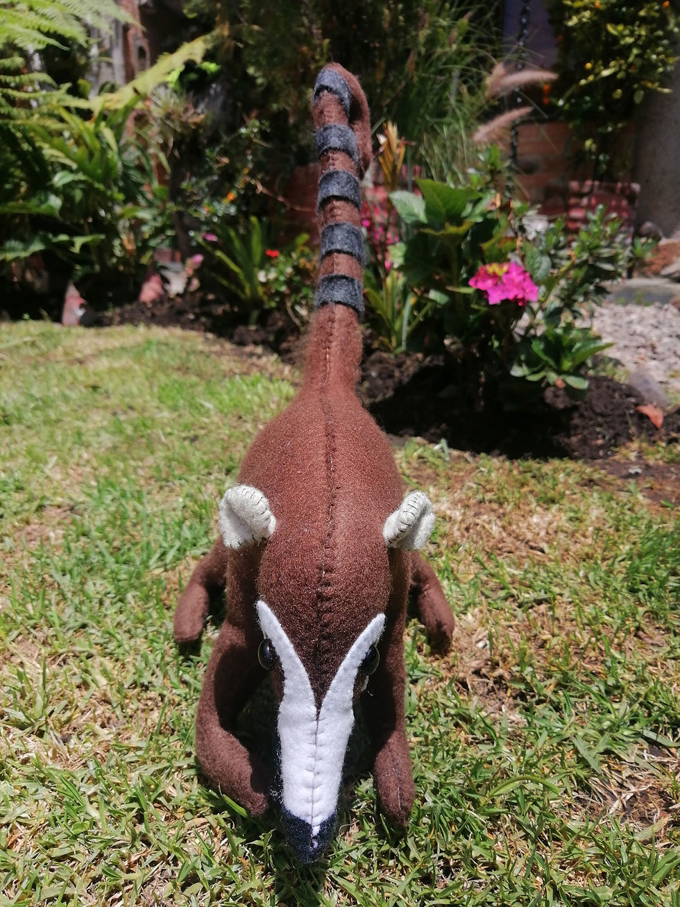 Miniatura: Peluche Cusumbo