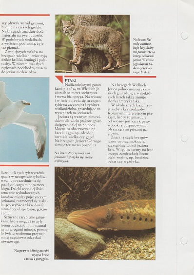 Karta z encyklopedii, Polska