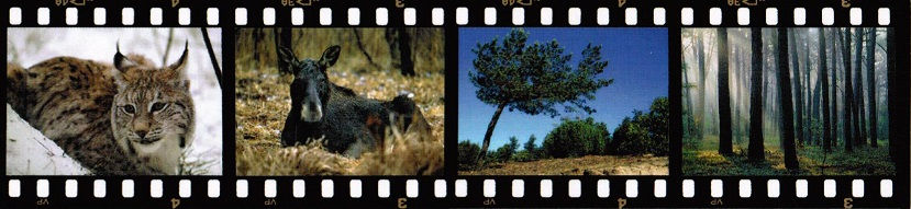 Kampinoski Park Narodowy