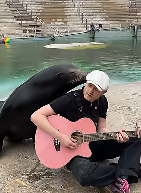 Plumes playing for sea lion