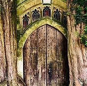 forest door
