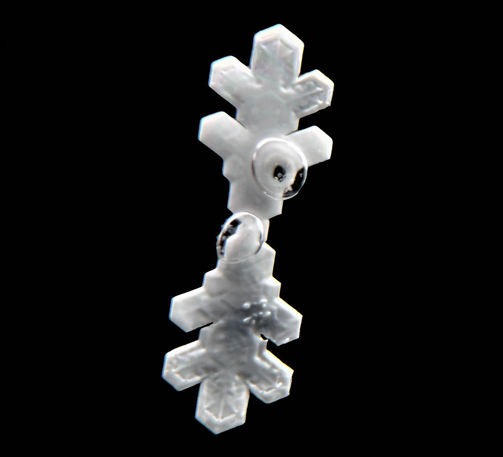 Snowflake from the Antarctic summer