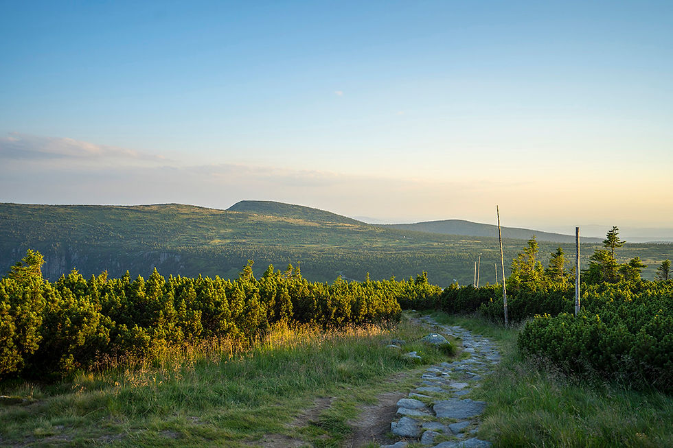 High-Resolution Nature Photography (6000×4000) – Digital Download