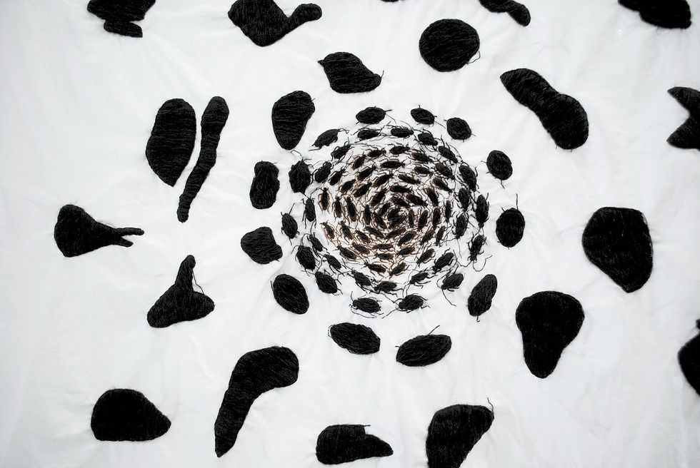 Illusion atroce