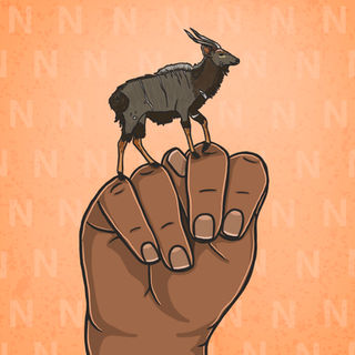 south african sign language letter N, SASL alphabet sign, Nyala