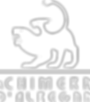 chimera-logo-white_edited.png