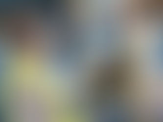 Programa de Monitoramento e controle de agentes químicos e físicos