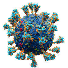 علاج الثآليل التناسلية ولقاح فايروس الحليمي البشري HPV للرجال في بغداد الخطة والجرعات