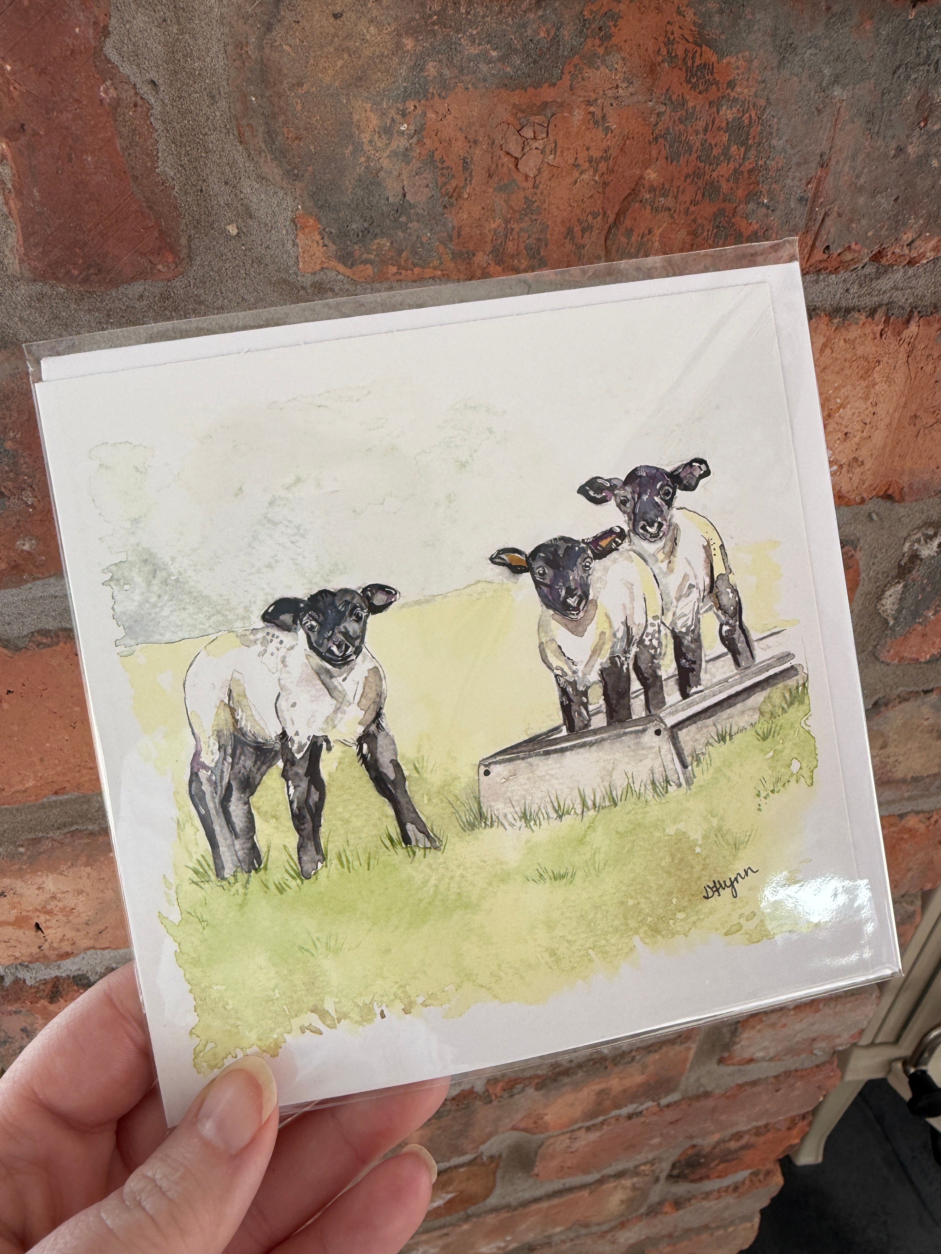"The Three Amigos" Greeting Card