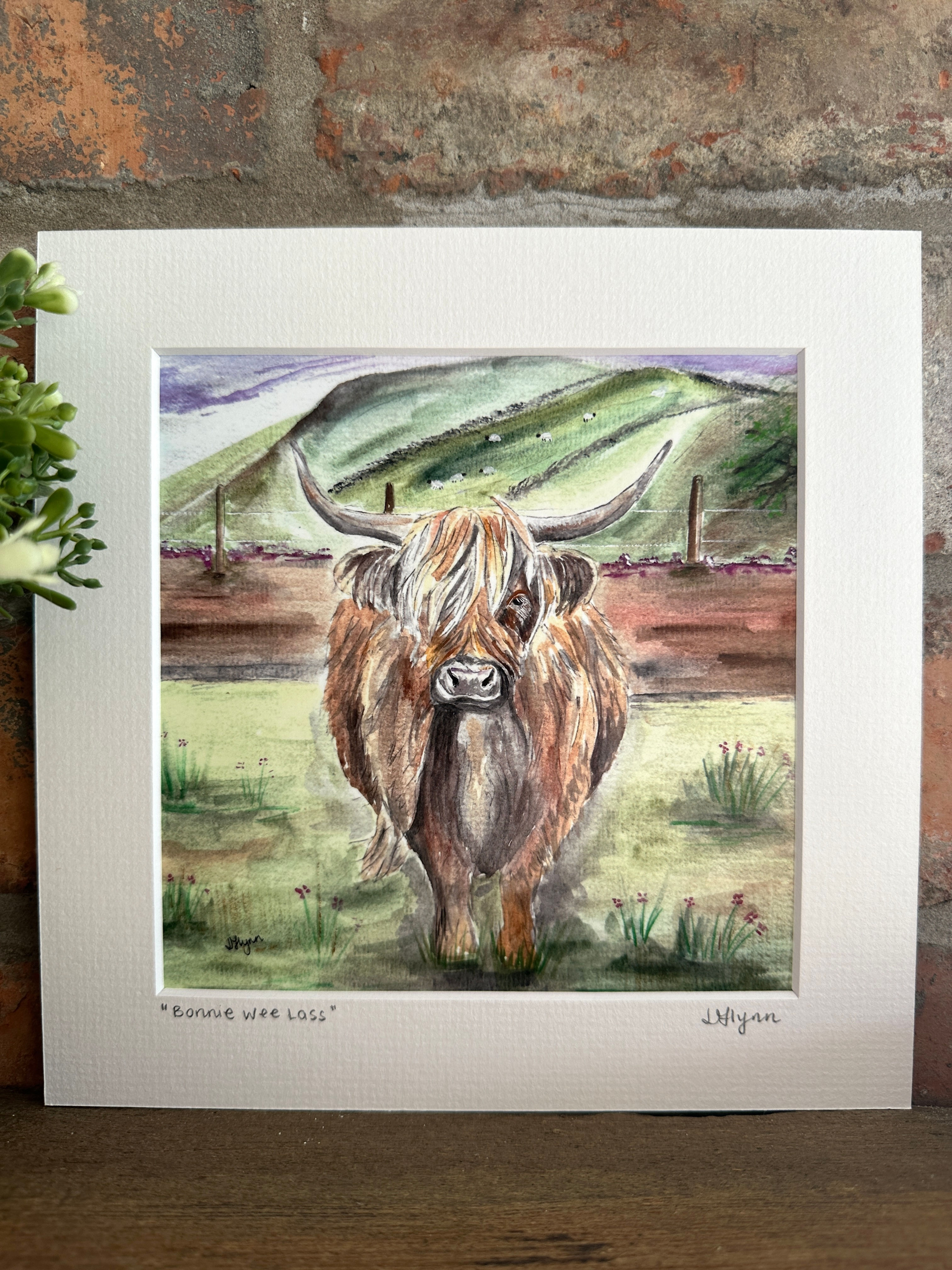 BONNIE WEE LASS Highland Cow 8 x 8" Signed Mounted Print