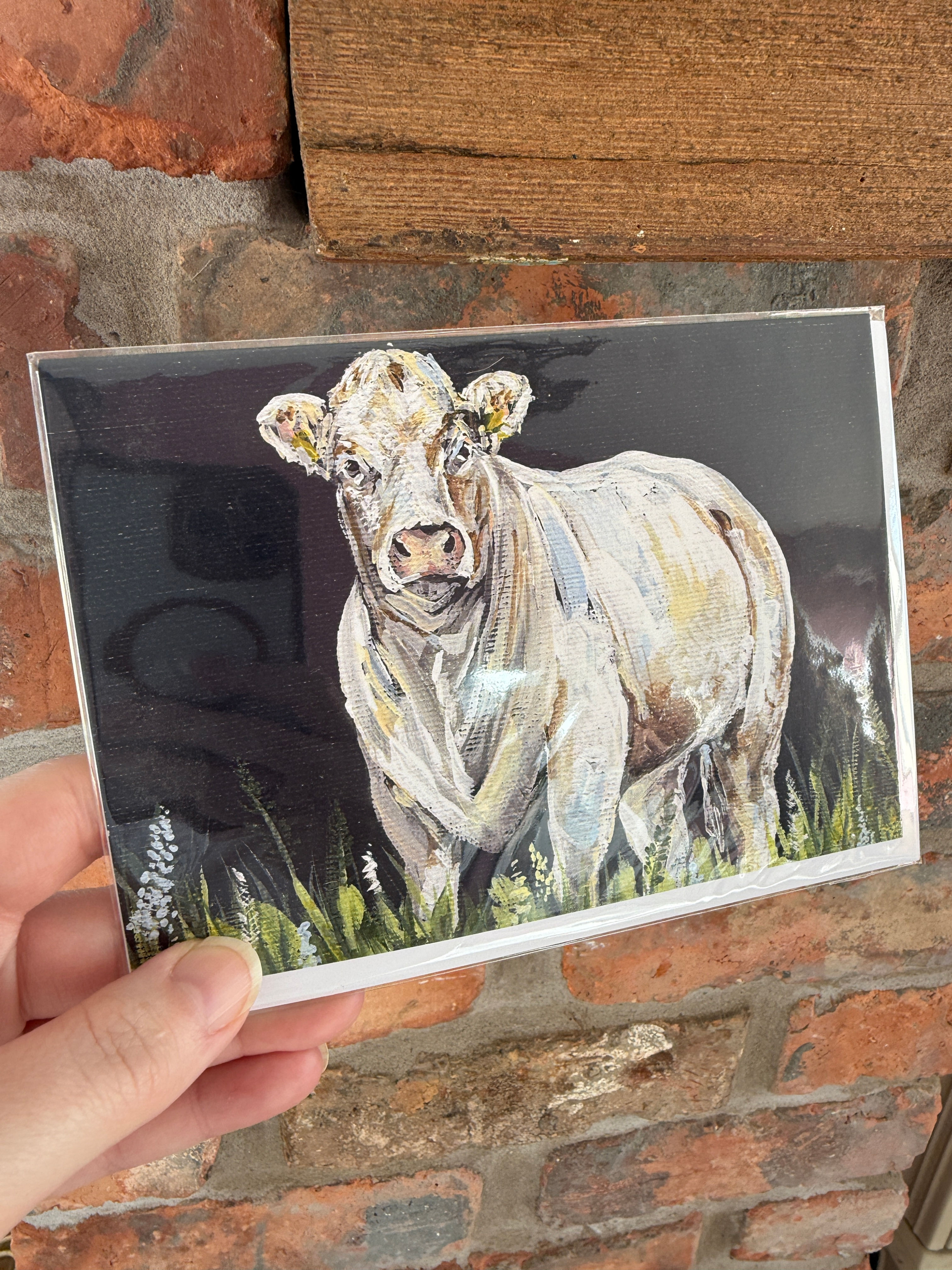"Charolais" Greeting Card