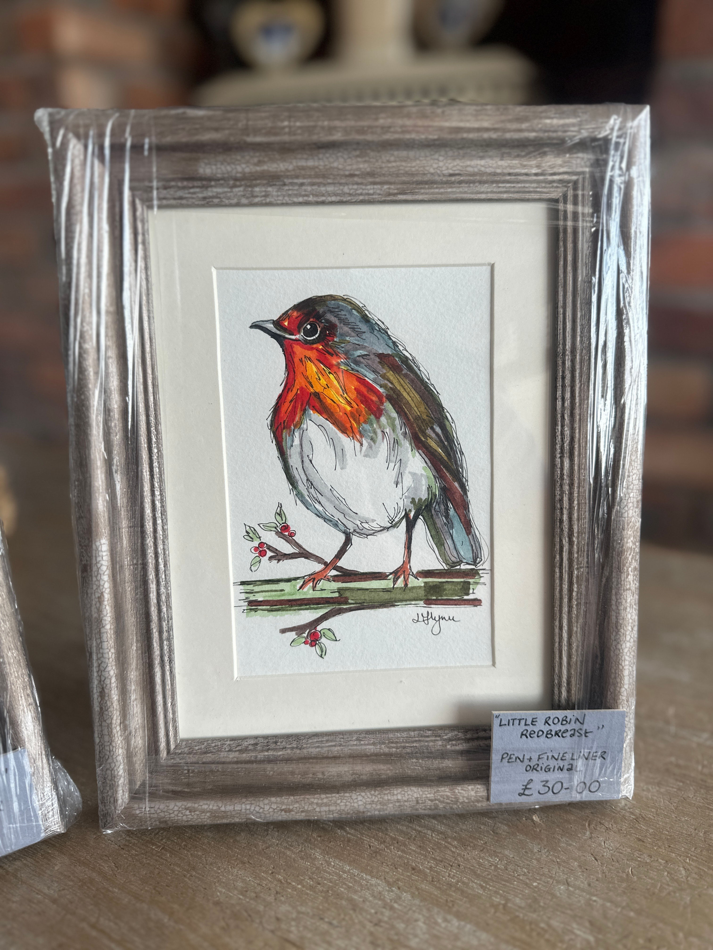 LITTLE ROBIN REDBREAST I - Pen and Ink Drawing