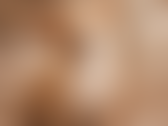 Chihuahua - Fotografia