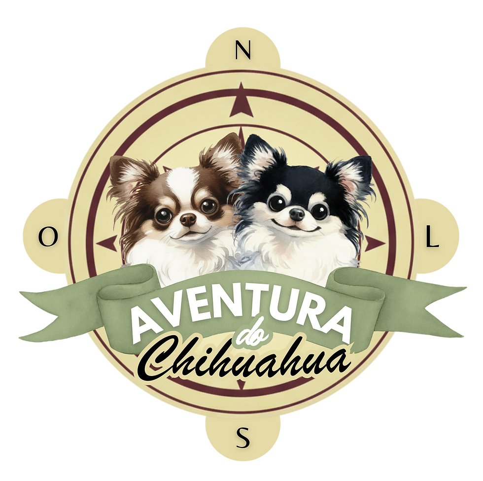 Novo logo - aventura do chihuahua monique_20260324_135643_0000.png