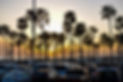 AdobeStock_93121483.jpeg
