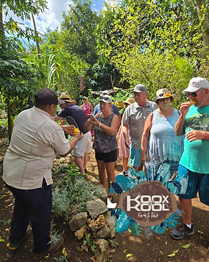 Monday Free winebeer with the purchase of any cut.png