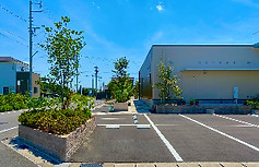 IMG_9989_edited.jpg