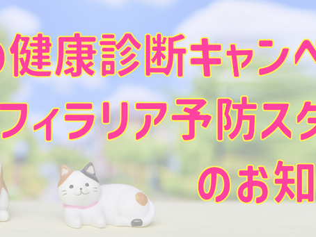 フィラリア予防スタート＆春の健康診断キャンペーンのお知らせ 🌸🐶🐱