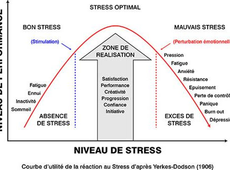 La charge allostatique de stress