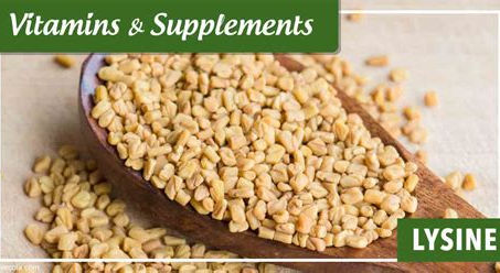 Quels sont les aliments riches en lysine?