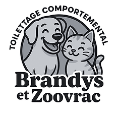Création sans titre (5).png