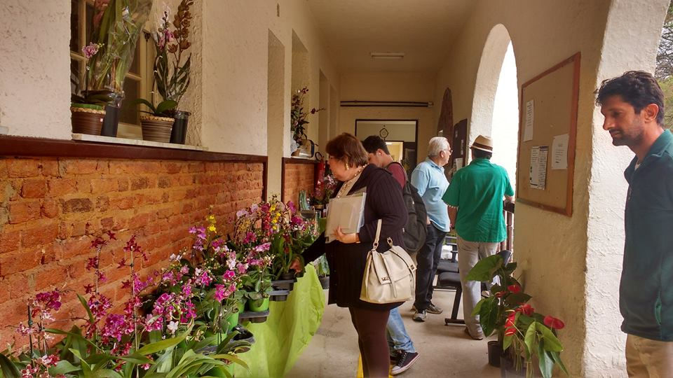 Exposição Bruzzone Flores.