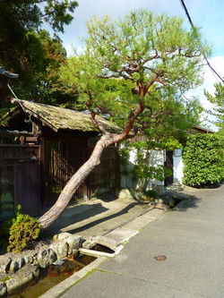 P1030240_Japon2011_Kyoto_edited