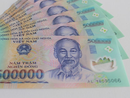 ベトナムドン紙幣にコレクション性とコレクションとしての価値よりも経済発展による通貨自体の価値上昇を期待した方が良い