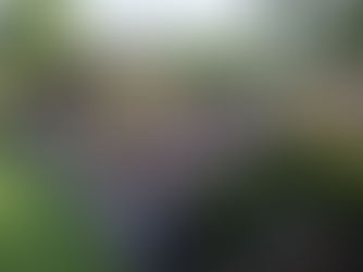 Fußballbegeisterung pur: Über 800 Zuschauer beim Relegationsspiel in Gammesfeld