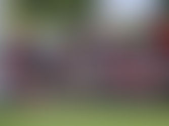 Die Damenmannschaft steht im Finale