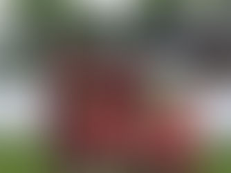 Erfolgreiches und schönes Pfingstwochenende bei der SpVgg Gammesfeld