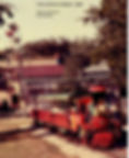 Train & Ferris Wheel.jpg