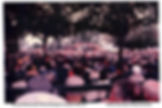 RS-Annual Democratic Party outing.jpg
