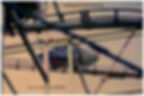 Flying Fish -'63.jpg