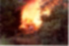 fire09.jpg