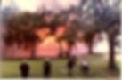 fire07.jpg