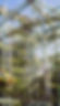 slideshow-162.jpg
