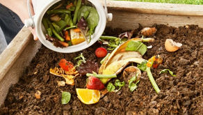 ¿Por qué no toda la materia orgánica puede utilizarse en tu compostador casero?