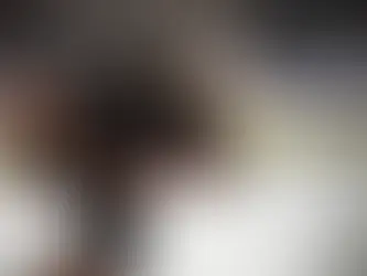 Andreas Straka échangé aux Huskies