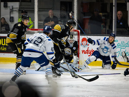 Le Phoenix fait l'acquisition de Jayden Plouffe