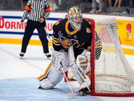 Gabriel D'Aigle rejoint l'organisation des Penguins