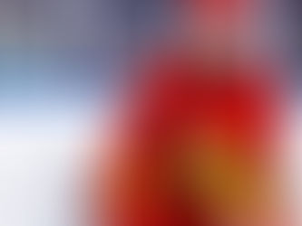 Alexis Michaud prend le chemin de Terre-Neuve