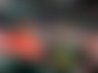 Le début d'une nouvelle ère à Halifax