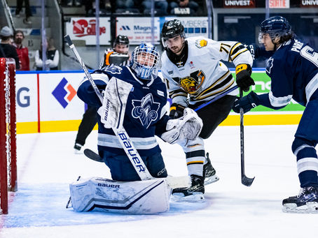 Les meilleures recrues dans la LHJMQ