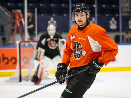 Les Tigers veulent briser la malédiction